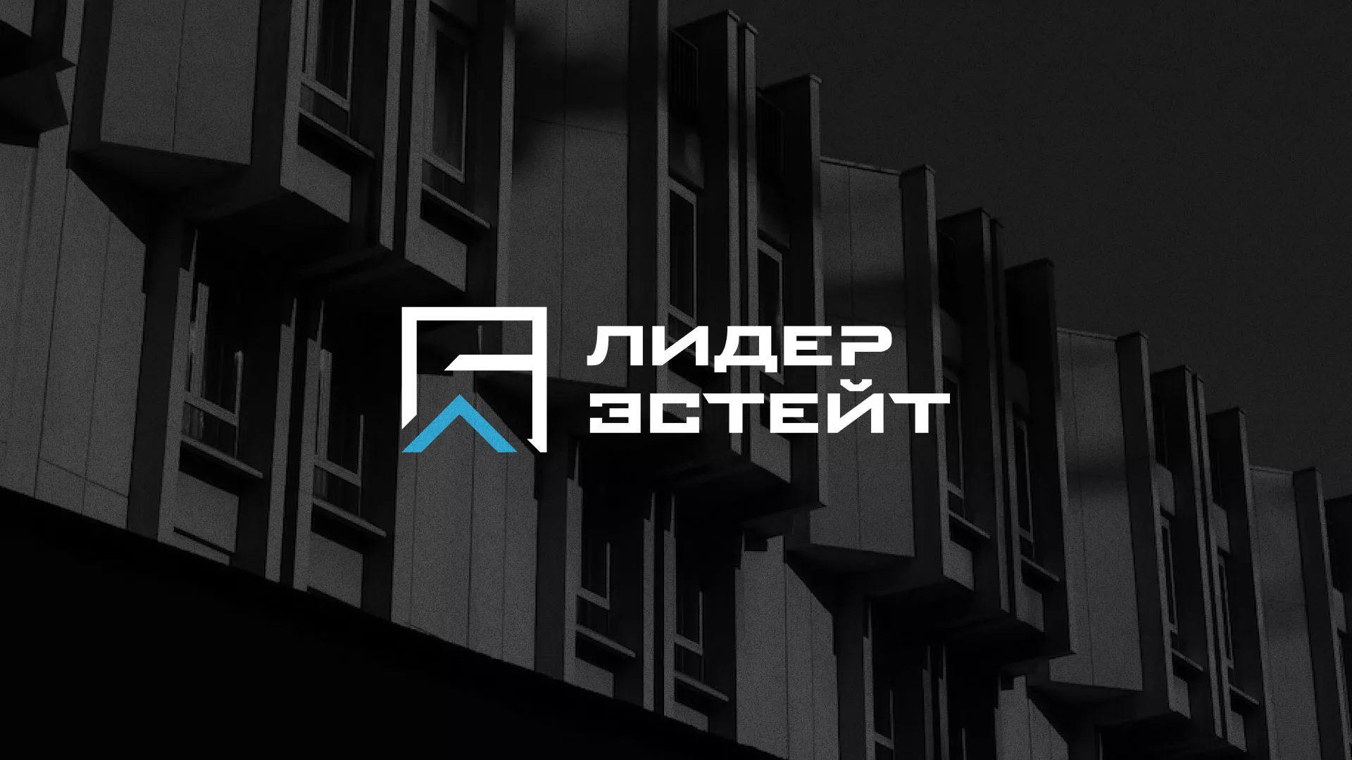 Разработка логотипа агентства недвижимости «Лидер Эстейт» в Дорогобуже